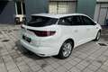 Renault Megane Mégane Sporter Blue dCi 115 CV EDC Business Blanc - thumbnail 12