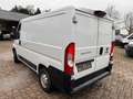 Fiat Ducato L1 H1 KLIMA AHK Kamera 3-Sitze SORTIMO Weiß - thumbnail 5