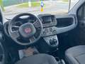 Fiat Panda Panda 1.0 firefly hybrid full optional no vincoli Zwart - thumbnail 8
