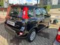 Fiat Panda Panda 1.0 firefly hybrid full optional no vincoli Zwart - thumbnail 3
