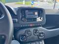 Fiat Panda Panda 1.0 firefly hybrid full optional no vincoli Zwart - thumbnail 13