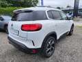 Citroen C5 Aircross BlueHDI 130 S&S Feel EAT8 Aut. Blanco - thumbnail 8