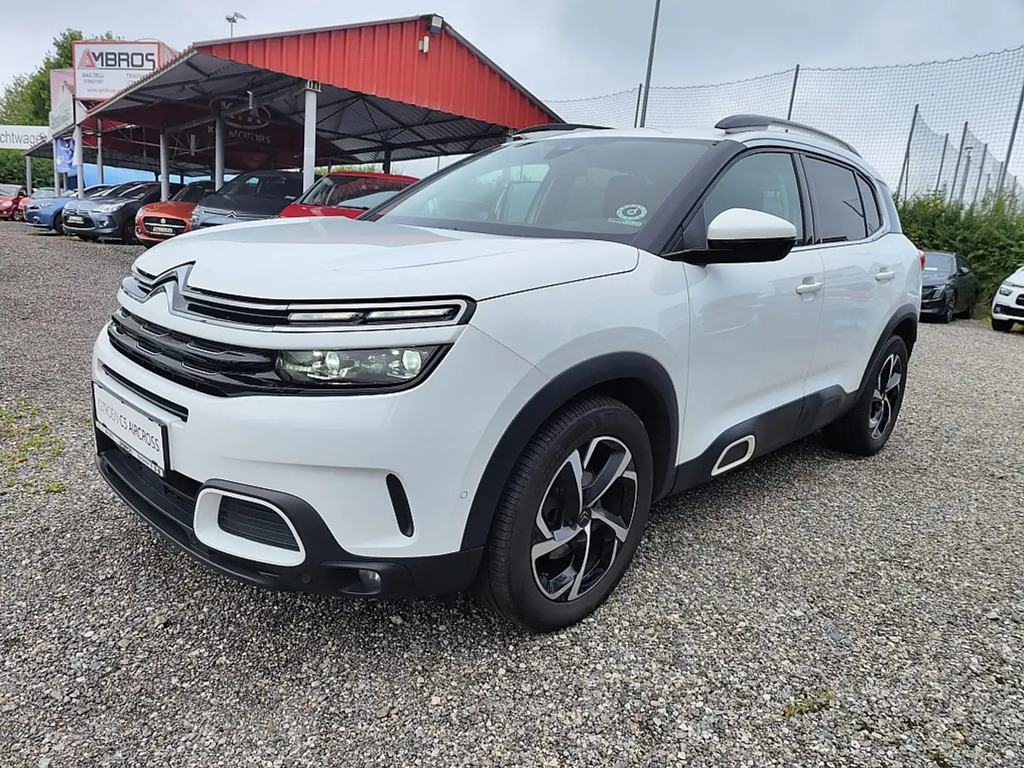 Citroen C5 Aircross BlueHDI 130 S&S Feel EAT8 Automatik Bianco - 1