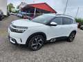 Citroen C5 Aircross BlueHDI 130 S&S Feel EAT8 Aut. Blanco - thumbnail 5