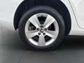 Skoda Fabia Combi Ambition 1,0 TSI Weiß - thumbnail 9