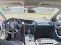 Audi A4 A4 IV Avant Avant 2.0 tdi S-Line multitronic fap Bianco - thumbnail 8