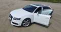 Audi A4 A4 IV Avant Avant 2.0 tdi S-Line multitronic fap Bianco - thumbnail 5