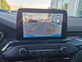 Ford Focus 1.0 EcoBoost Hybrid 125 CV 5p. ST-Line Blu/Azzurro - thumbnail 12