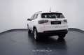 Jeep Compass 1.6 Multijet II 120cv 2WD Business #Navy Blanc - thumbnail 4