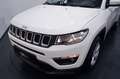 Jeep Compass 1.6 Multijet II 120cv 2WD Business #Navy Blanc - thumbnail 27