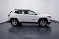 Jeep Compass 1.6 Multijet II 120cv 2WD Business #Navy Blanc - thumbnail 7