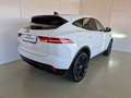Jaguar E-Pace 2.0D I4 163 CV AWD Auto R-Dynamic Black Weiß - thumbnail 2