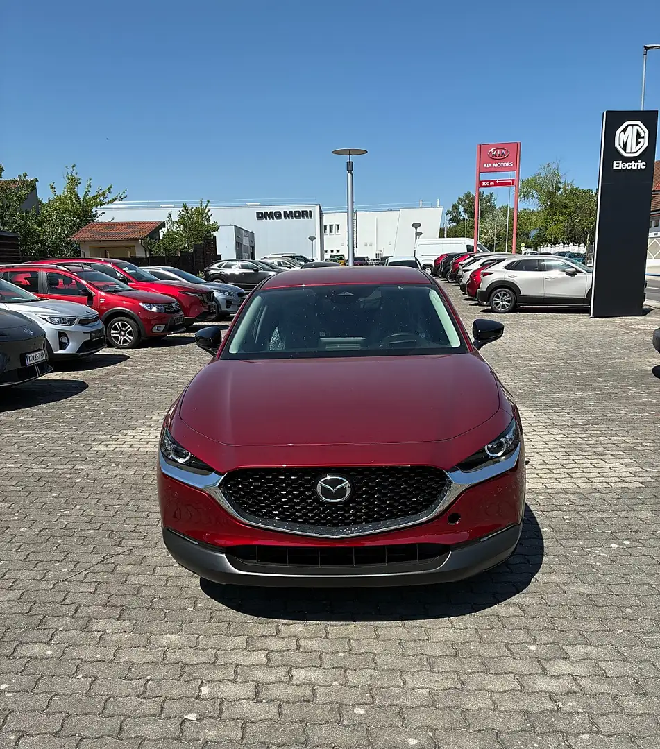 Mazda CX-30 e-Skyactive G140 Homura Rot - 2