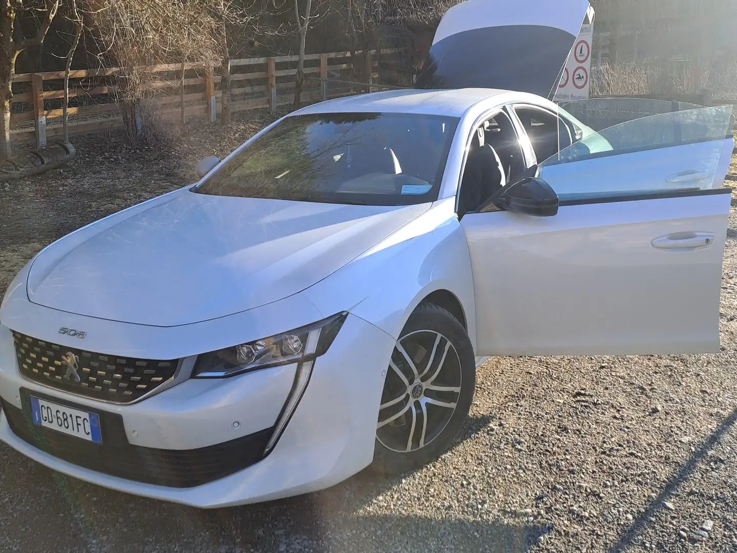 Peugeot 508 508 II 2019 Berlina 2.0 bluehdi GT Line s Bianco - 2