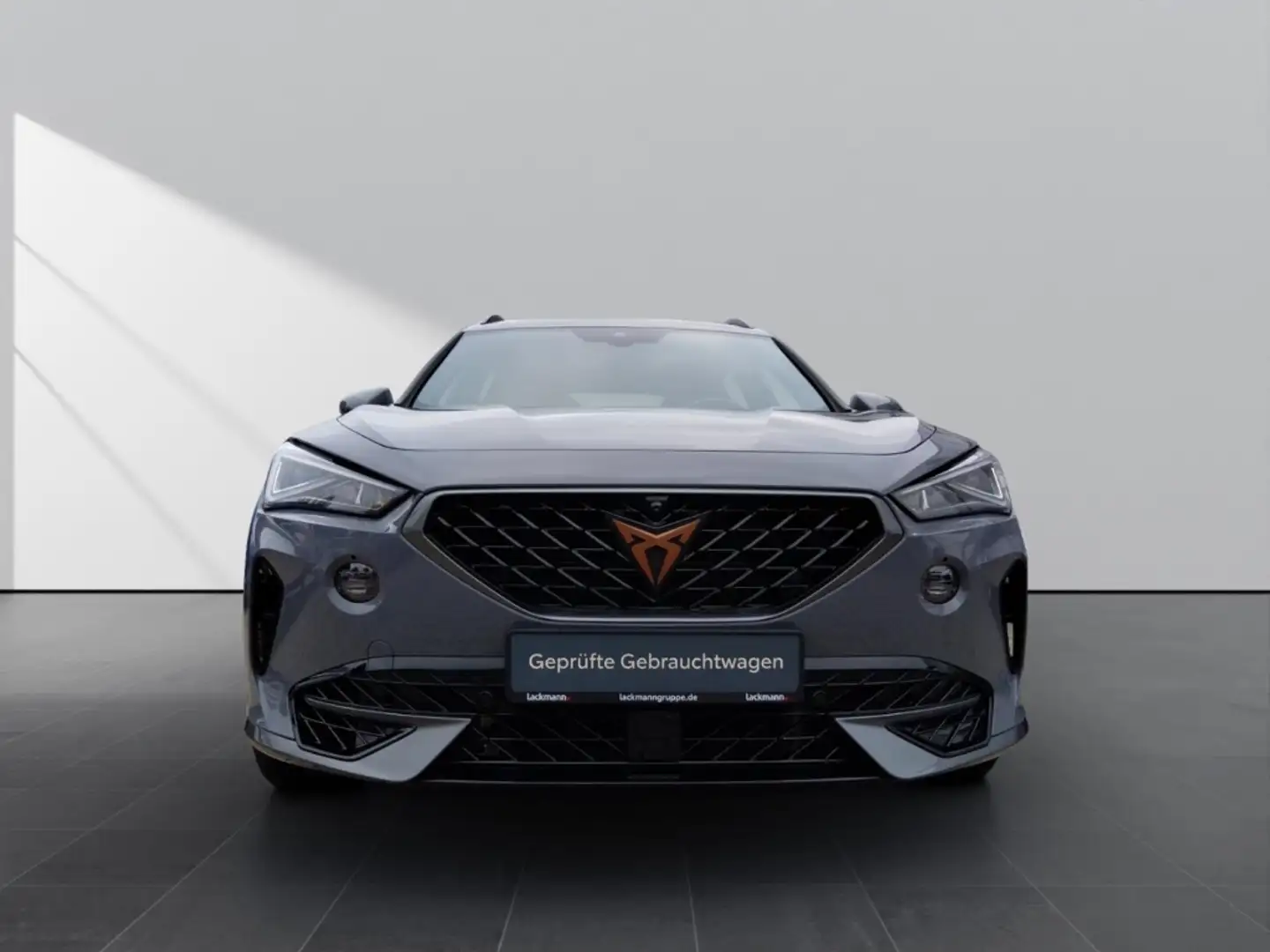 CUPRA Formentor 2.0VZ 4Drive *Navi*AHK*LED*Kamera360°* Grau - 2
