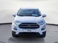 Ford EcoSport Ecosport 1.0 EcoBoost Cool&Connect Sitzhzg GRA White - thumbnail 7