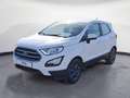 Ford EcoSport Ecosport 1.0 EcoBoost Cool&Connect Sitzhzg GRA Wit - thumbnail 2