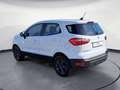 Ford EcoSport Ecosport 1.0 EcoBoost Cool&Connect Sitzhzg GRA Blanco - thumbnail 4