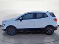 Ford EcoSport Ecosport 1.0 EcoBoost Cool&Connect Sitzhzg GRA Blanco - thumbnail 3