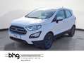 Ford EcoSport Ecosport 1.0 EcoBoost Cool&Connect Sitzhzg GRA White - thumbnail 1