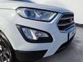 Ford EcoSport Ecosport 1.0 EcoBoost Cool&Connect Sitzhzg GRA Blanco - thumbnail 13