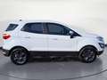 Ford EcoSport Ecosport 1.0 EcoBoost Cool&Connect Sitzhzg GRA Wit - thumbnail 6