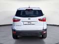 Ford EcoSport Ecosport 1.0 EcoBoost Cool&Connect Sitzhzg GRA White - thumbnail 5