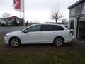 Volkswagen Golf Variant 1.5 TSI OPF Life AHK schwenkbar*Panoramadach... Weiß - thumbnail 5