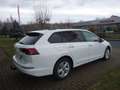 Volkswagen Golf Variant 1.5 TSI OPF Life AHK schwenkbar*Panoramadach... Weiß - thumbnail 9