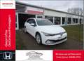 Volkswagen Golf Variant 1.5 TSI OPF Life AHK schwenkbar*Panoramadach... Weiß - thumbnail 1