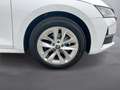 Skoda Octavia Selection TDI DSG Blanc - thumbnail 9