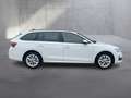 Skoda Octavia Selection TDI DSG Blanc - thumbnail 7