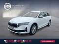 Skoda Octavia Selection TDI DSG Blanc - thumbnail 1