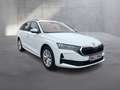 Skoda Octavia Selection TDI DSG Blanc - thumbnail 2