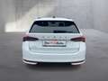 Skoda Octavia Selection TDI DSG Blanc - thumbnail 6
