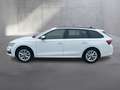 Skoda Octavia Selection TDI DSG Blanc - thumbnail 8