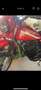 Suzuki TS 250 Rot - thumbnail 8