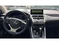 Lexus NX 300h Privilege Line Plateado - thumbnail 12