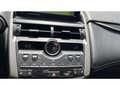 Lexus NX 300h Privilege Line Plateado - thumbnail 23