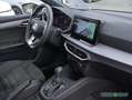 SEAT Ibiza XCELLENCE 1.0 TSI 7-Gang-DSG RFK/NAVI/ACC Grau - thumbnail 4