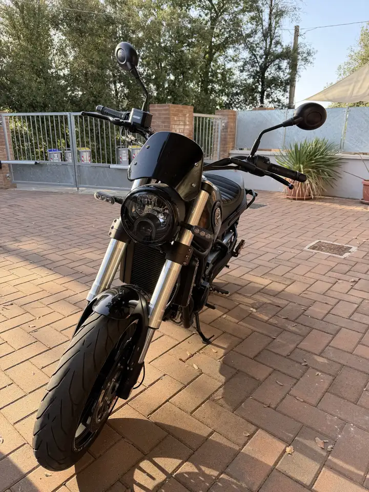 Benelli Leoncino