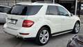 Mercedes-Benz ML 350 cdi Premium Sport auto E5 - thumbnail 3