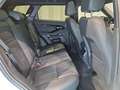 Land Rover Range Rover Evoque D200 Dynamic SE Weiß - thumbnail 6