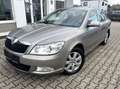 Skoda Octavia 1.6 TDI Family*LM16"Allwetter*Klima* Beige - thumbnail 3