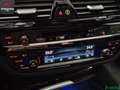 BMW 530 530 d LUXURY LINE LASER,SOFTCLOSE,KEYLESS,KAMERA Gris - thumbnail 22