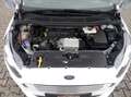 Ford S-Max EcoBlue Titanium AWD+Turbolader-Schaden Weiß - thumbnail 23