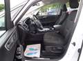 Ford S-Max EcoBlue Titanium AWD+Turbolader-Schaden Weiß - thumbnail 19