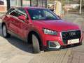 Audi Q2 1.6TDI Design edition 85kW Rot - thumbnail 30