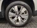 Peugeot 2008 Allure+Leder+Ambiente+Temp+Sportsitze+Touch Blanc - thumbnail 35