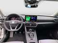 SEAT Leon Style Edition 1.5 TSI 115 PS Weiß - thumbnail 9